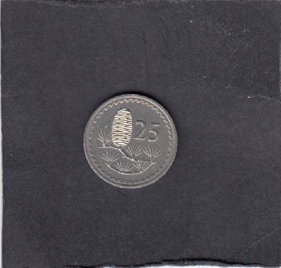 Beschrijving: 25 Mils  CEDAR PLANT